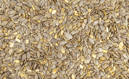 Close up picture of pumpkin seeds, food background.の写真素材