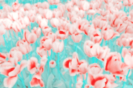Vintage toned blurred tulips background.の写真素材