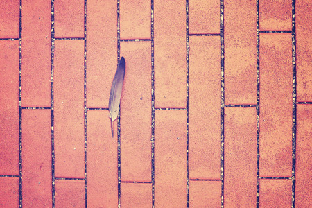 Vintage toned feather on a sidewalk, space for text.の写真素材