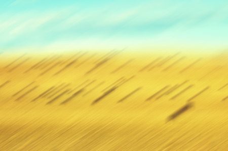 Motion blurred medow, abstract nature background or wallpaper.