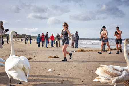 Swinoujscie, Poland - February 25, 2017: Fans of winter swimming run to warm up on the beach. Winter swimming contributes to better well being, reduces stress and fatigue, relieves pain.のeditorial素材
