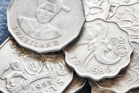 Extreme close up picture of Swazi emalangeni, shallow depth of field.の写真素材