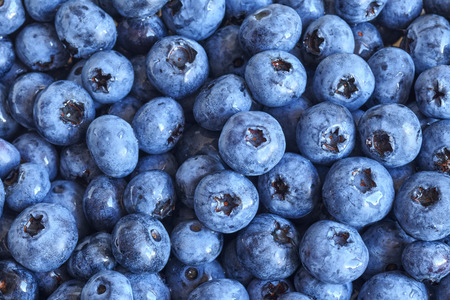 Close up picture of ripe and fresh blueberries, shallow depth of field.の写真素材