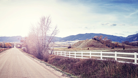 Vintage stylized picture of a countryside peaceful landscape at sunset.の写真素材