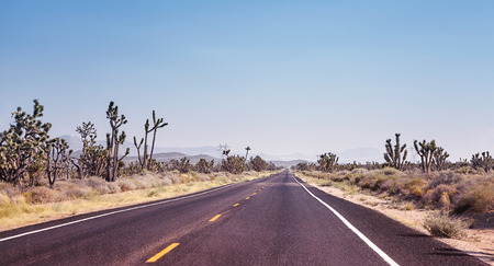 Road in the Joshua Tree National Park, color toned picture, travel concept, USA.の写真素材