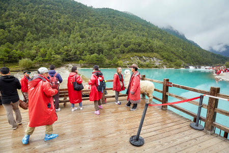 Lijiang, China - September 22, 2017: Tourists take a picture with lama at the White Water River in Blue Moon Valley, one of the China top travel destinations.のeditorial素材