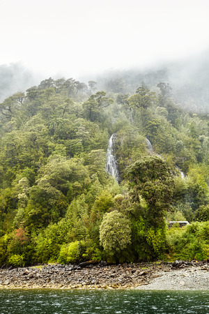 Forest on a rainy day in Carretera Austral, Chile.の写真素材