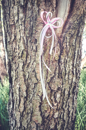 White and pink ribbon on a tree in a park, awareness symbol, selective focus, color toned picture.の写真素材