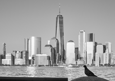 Black and white picture of a pigeon silhouette with blurred Manhattan in background, seen from New Jersey, New York City, USA.の写真素材
