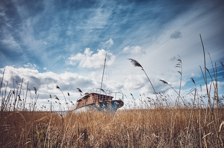 Retro toned picture of a shipwreck in the reeds.の写真素材