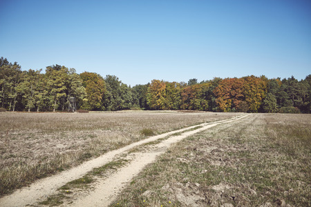 Retro toned picture of a dirt road leading towards a forest.