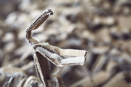 Close up picture of shredded cardboard, selective focus, color toning applied.