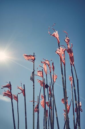Ragged fishing marker flags against the sun, color toning applied.
