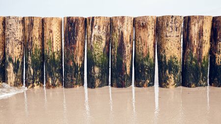 Wooden groyne partlially covered with algae on a beachの写真素材