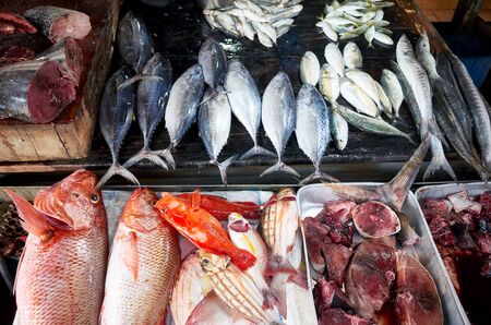 Fresh fish at the market in Hikkaduwa, Sri Lanka.の写真素材