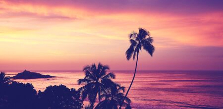 Tropical beach with palm tree silhouettes at sunrise, color toning applied, Sri Lanka.の写真素材