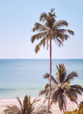 Retro toned picture of tropical coast, Sri Lanka.の写真素材