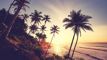 Tropical beach with palm trees silhouettes at sunset, color toning applied.