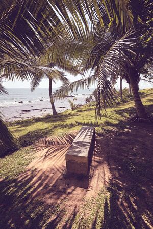 Seaside view bench in palm trees shade, color toning applied.の写真素材