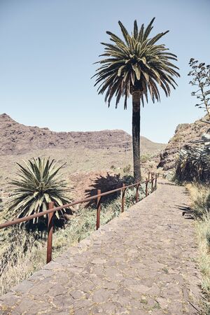 Path in the rural area of Teno massif, located in the northwestern part of Tenerife, color toned picture, Spain.の写真素材
