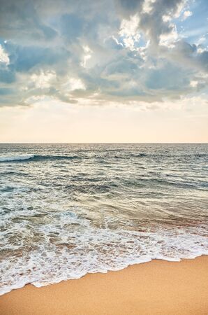 Tropical beach with horizon over ocean water at sunset.の写真素材