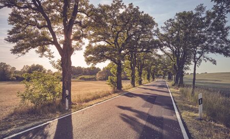 Narrow countryside road at sunset, color toning applied.の写真素材