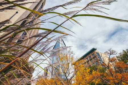 Autumn in Salt Lake City, Utah, USA.の写真素材