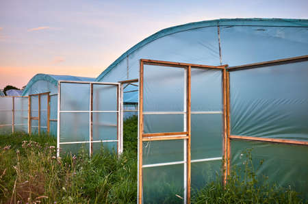Row of greenhouses with open gates at sunset.