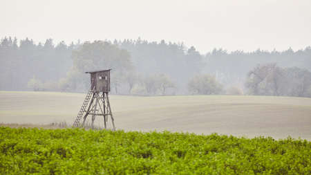 Wooden hunting blind on a field in an autumnal misty morning, color toning applied.の写真素材