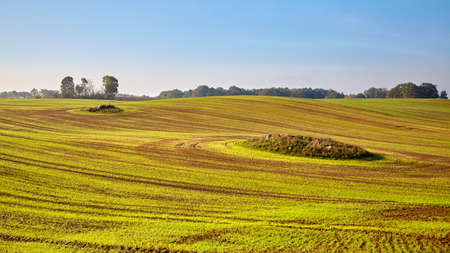 Panoramic picture of an autumnal rural landscape.の写真素材