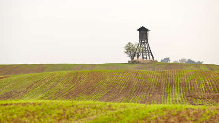 Rural landscape with wooden hunting blind on a field in an autumnal foggy morning.の写真素材