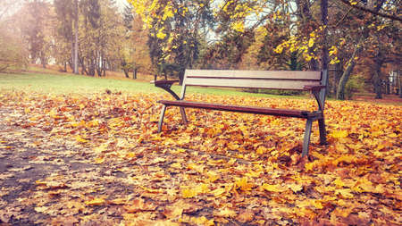 Empty bench in a park in autumn, retro colors toned picture.
