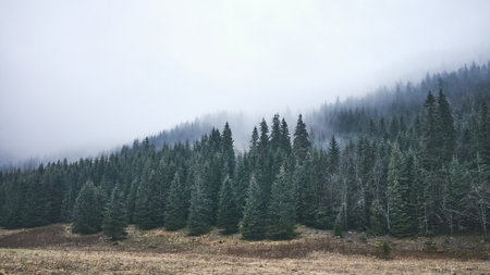Dark foggy mountain landscape on a rainy day, color toning applied.の写真素材