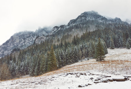 Winter mountain landscape on a snowy day.の写真素材