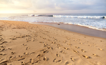 Footprints on a sandy tropical beach at sunset.の写真素材