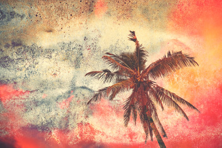 Grunge paper background with silhouette of a palm tree at colorful sunset.の写真素材