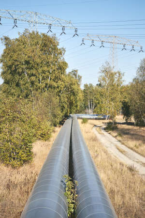 Pipeline with high voltage transmission towers in background in a forest.