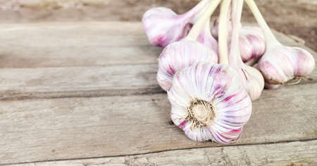Close up picture of fresh organic garlic on a wooden table, selective focus.の写真素材