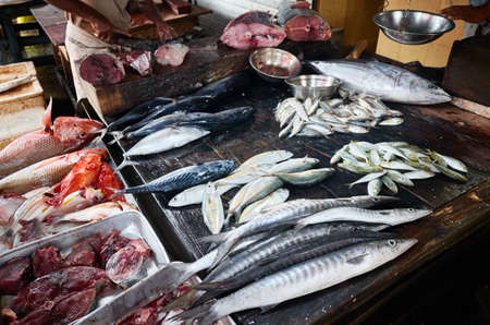 Fresh fish at the market in Hikkaduwa, Sri Lanka.の写真素材