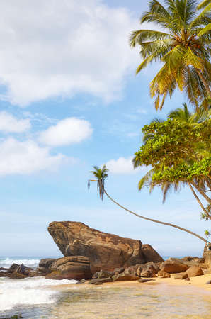 Tropical beach with rocks and palm trees, Sri Lanka.の写真素材