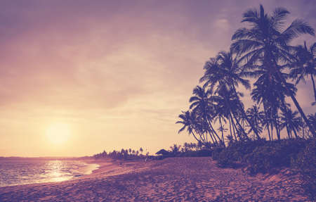 Silhouettes of coconut palm trees on a tropical beach at sunset, color toning applied.の写真素材