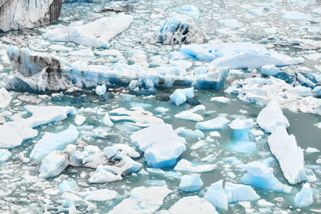 Chunks of ice from melting glacier in water.