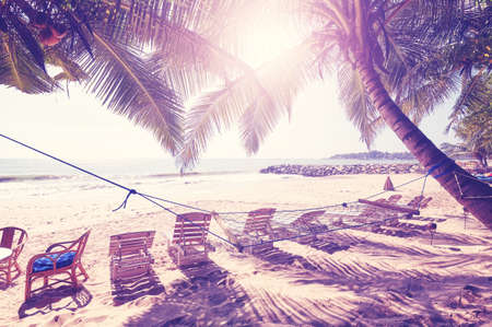 Tropical beach with sunbeds under palm trees, color toned picture.の写真素材