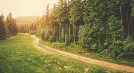 Path in Karkonosze Mountains, color toning applied, Poland.の写真素材