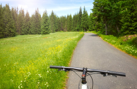 Bike steering wheel with asphalt road in Izera Mountains, selective focus, Poland.の写真素材