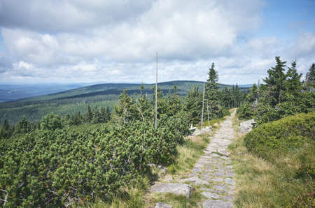 Stone path trail in Karkonosze (Giant Mountains), Czech Republic.の写真素材