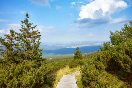 Wooden bridge trail in Giant mountains, Poland.の写真素材