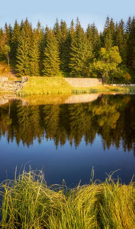 Mountain forest reflected in a pond at sunset, Karkonosze National Park, Poland.