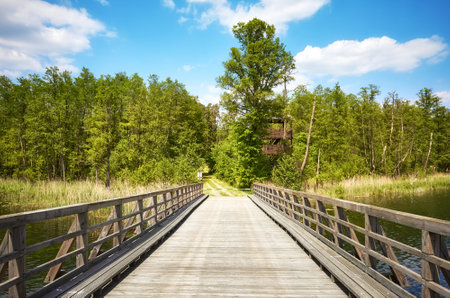 Wooden bridge over Osiek lake, Poland.の写真素材