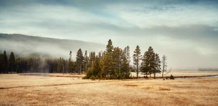 Misty morning in Yellowstone National Park, Wyoming, USA.の写真素材